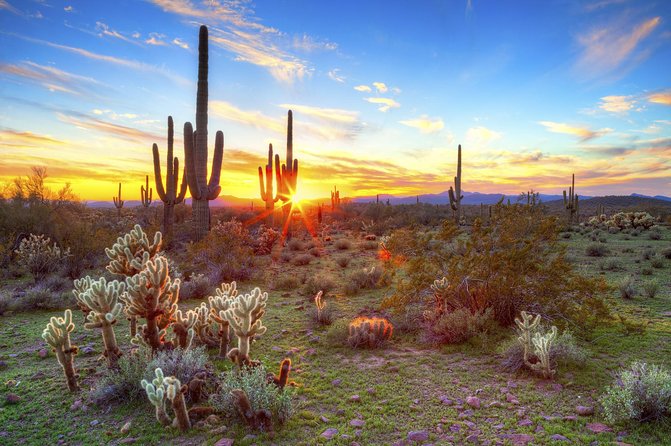 Sonoran Desert image